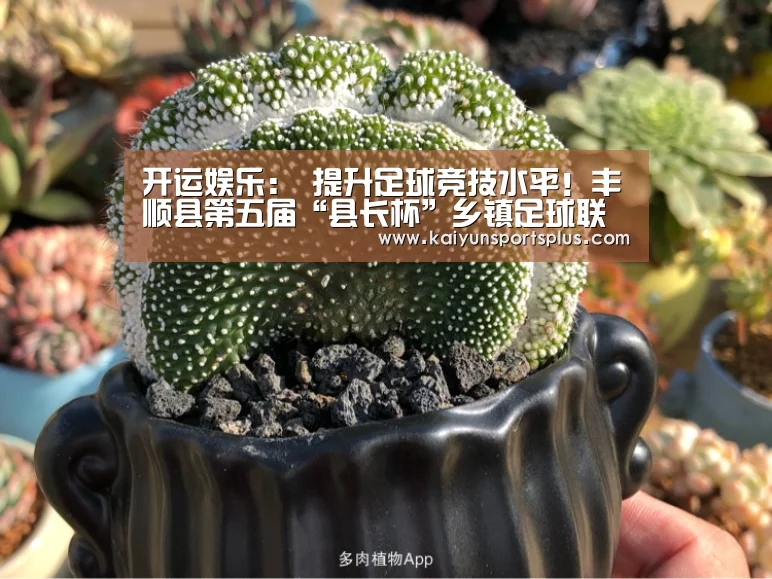 开运登录